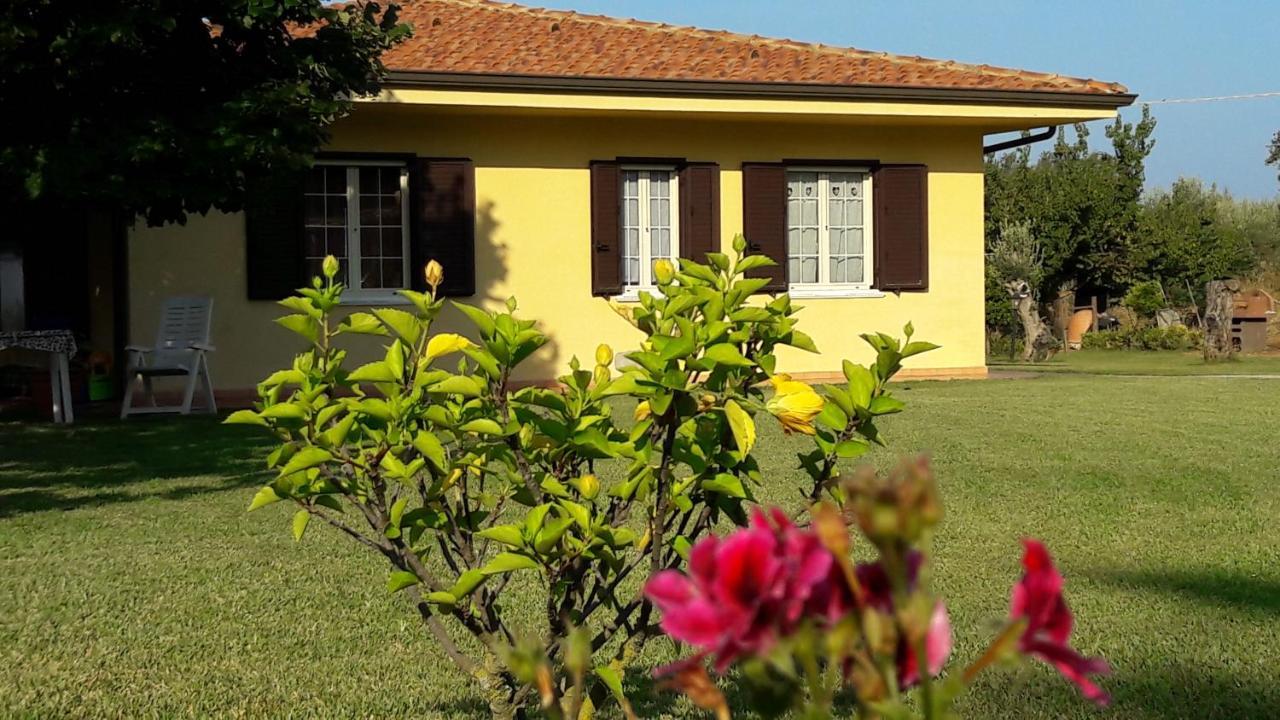 Villa Mimosa Tropea Ricadi Dış mekan fotoğraf