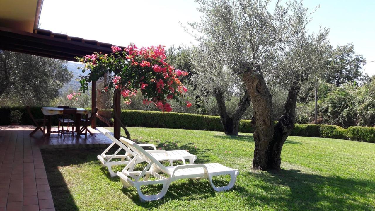 Villa Mimosa Tropea Ricadi Dış mekan fotoğraf