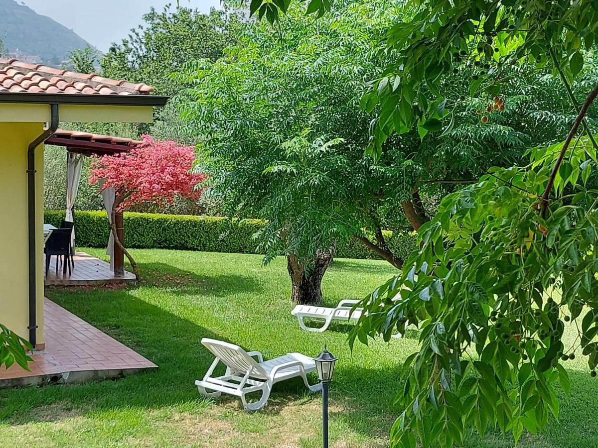 Villa Mimosa Tropea Ricadi Dış mekan fotoğraf
