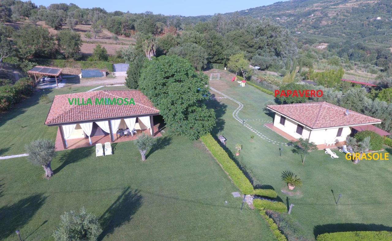 Villa Mimosa Tropea Ricadi Dış mekan fotoğraf